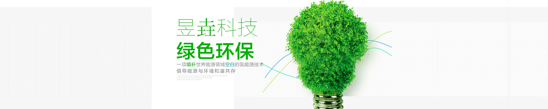 公司簡(jiǎn)介